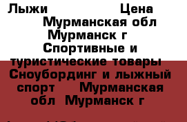 Лыжи Equipe ELAN › Цена ­ 4 000 - Мурманская обл., Мурманск г. Спортивные и туристические товары » Сноубординг и лыжный спорт   . Мурманская обл.,Мурманск г.